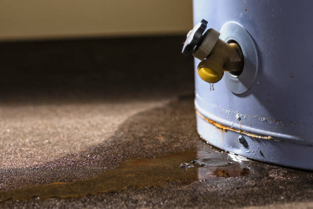 Water damage restoration experts in WI