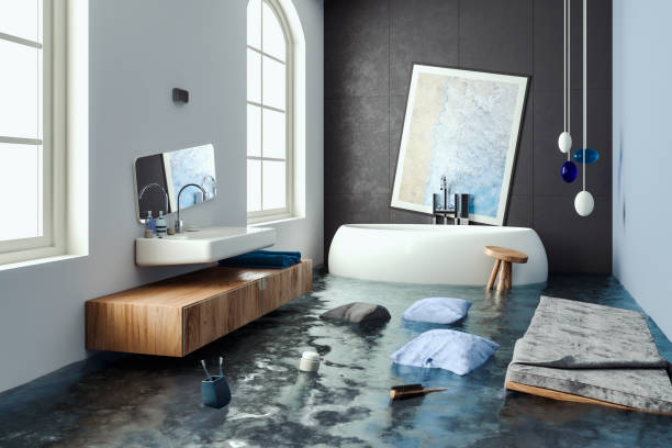 Best Professional water damage repair  in Rochester, WI