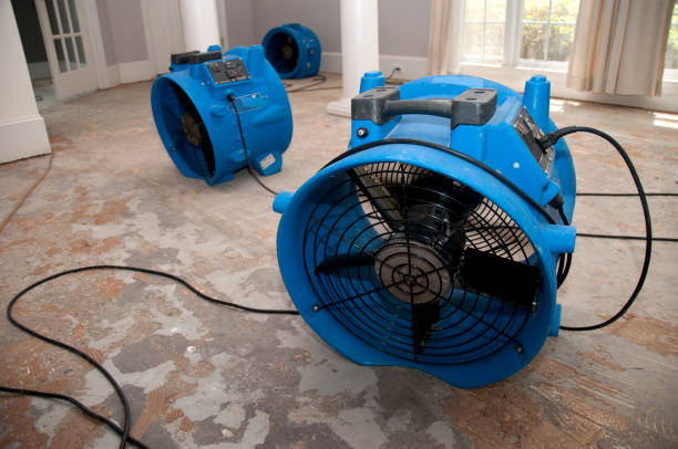 Best 24-hour water damage restoration  in Rochester, WI