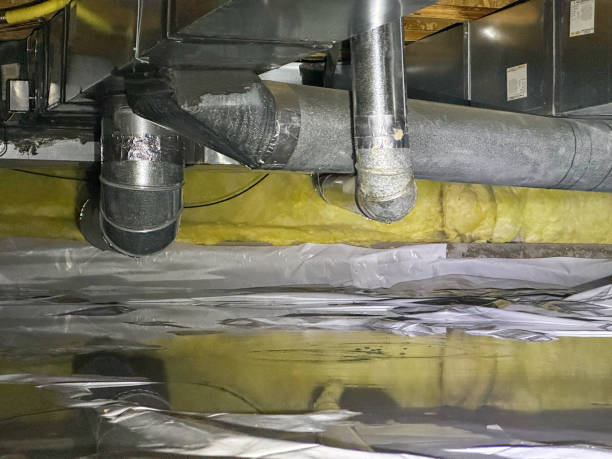 Best Mold removal after water damage  in Rochester, WI