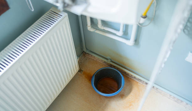 Best Water damage cleanup near me  in Rochester, WI