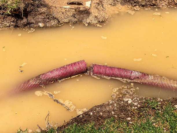 Best Basement water damage restoration  in Rochester, WI